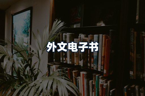 外文电子书